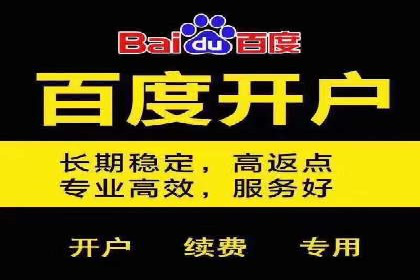 如何在竞争激烈的市场中做好SEM——案例分析